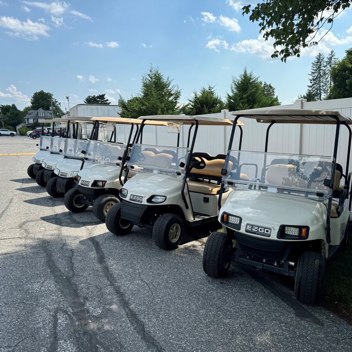 sơn xe golf số lượng lớn